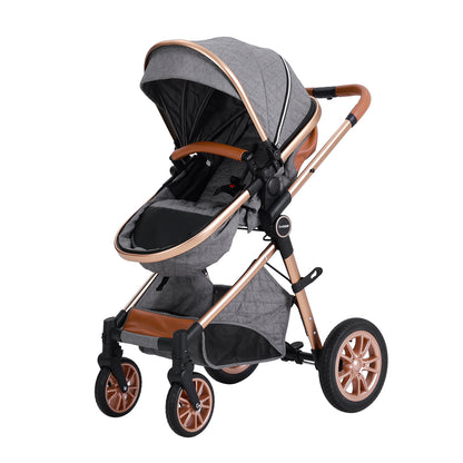 DuraFlex 2-in-1 Baby Stroller