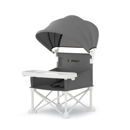 Portable Booster Seat
