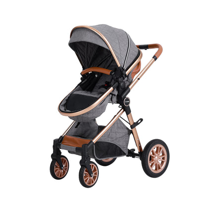 DuraFlex 2-in-1 Baby Stroller