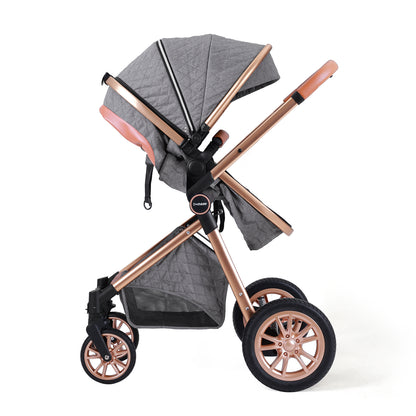 DuraFlex 2-in-1 Baby Stroller