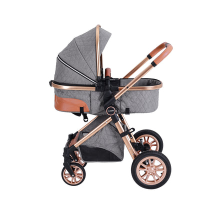 DuraFlex 2-in-1 Baby Stroller