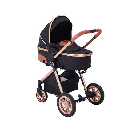 DuraFlex 2-in-1 Baby Stroller