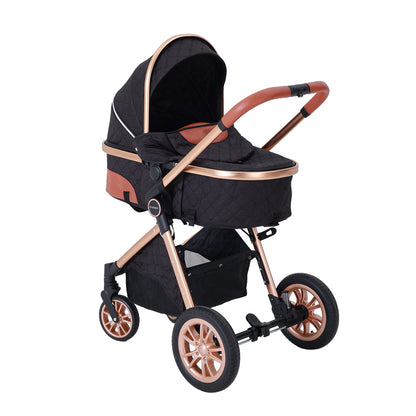 DuraFlex 2-in-1 Baby Stroller