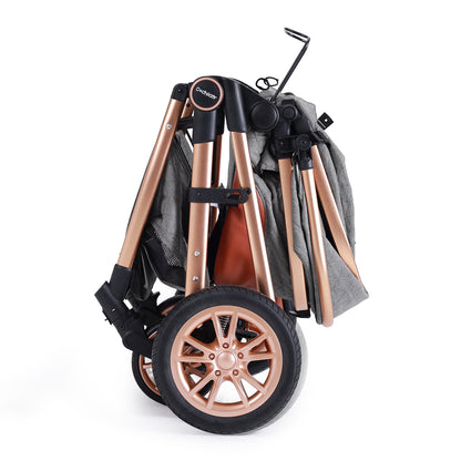 DuraFlex 2-in-1 Baby Stroller