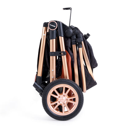 DuraFlex 2-in-1 Baby Stroller